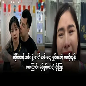 A beetle that tells about Ako Tun's actions