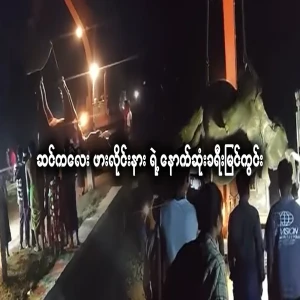 Elephant baby frog line