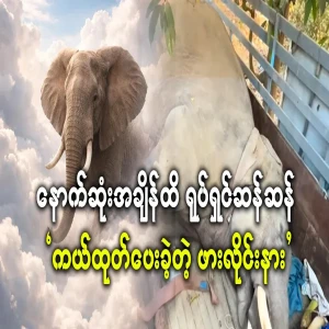 The movie-friendly frog liner