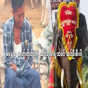 The master of the elephant that was electrocuted yesterday