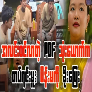 The battalion commander's daughter did not run pdfs that came to light